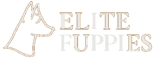 Elite Puppies